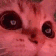 :catsweet: