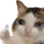 :crythumbsup:
