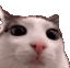 :plink: