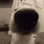 :sniffdog: