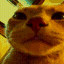 :vibecat: