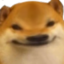 :doge_5head: