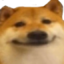 :doge_face: