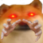 :doge_hands: