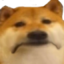 :doge_sad: