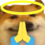 :heh_pray: