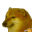 :cheems_puff: