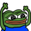 :pepe_2: