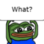 :pepe_what: