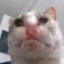 :sadcat: