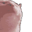 :vibingkitty: